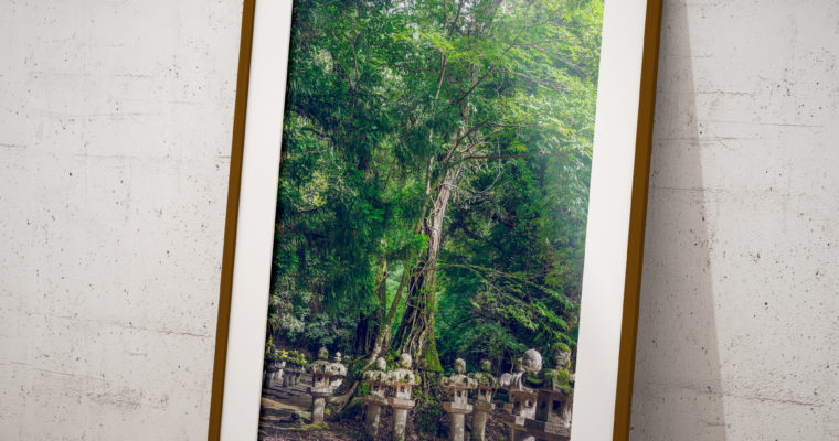Wydruk zdjęcia autorskiego Z Japonii „Quiet Space”, „Drzewo”